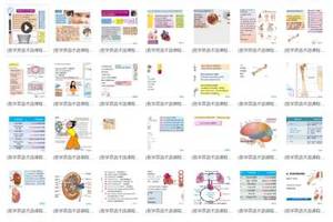 医学英语术语课程[MP4+PDF]