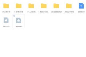 CET-4 英语四级口语 有口试录像[AVI+MP3+LRC]